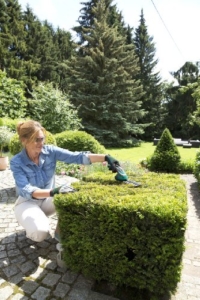 Bosch DIY Akku Gras- und Strauchscheren Set Isio, Akku, Ladegerät, Grasschermesser, Strauchscherenmesser, Softcase, Messerschutz, Karton (3,6 V, 1,5 Ah, Schnittlänge 12 cm) -